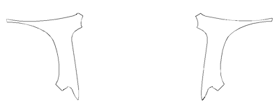 Full Fender and Mirror PPF Kit | RAM 1500 REBEL 2025