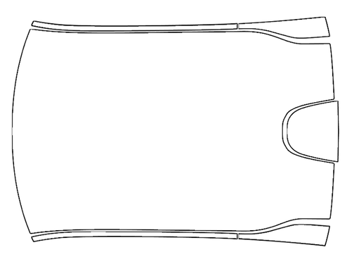 Full Roof PPF Kit | DODGE CHARGER DAYTONA 2025