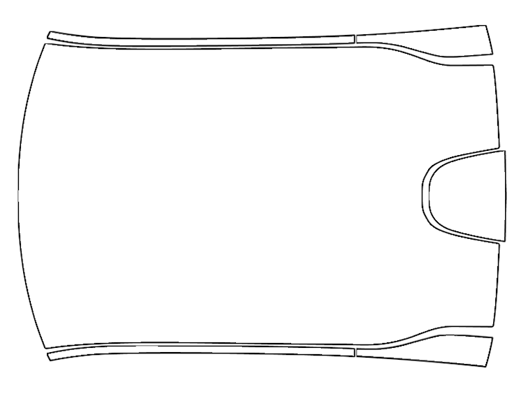 Full Roof PPF Kit | DODGE CHARGER DAYTONA 2025