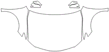 Load image into Gallery viewer, Full Hood &amp; Fender + Mirror Kit | TOYOTA CAMRY TRD 2024