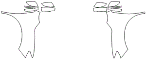3M Scotchgard Paint Protection Film Pro Series Kits