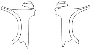 Full Fender and Mirror Kit | RAM 1500 LARAMIE 2020 